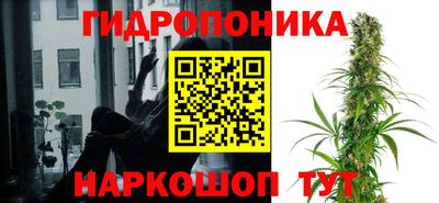 сатива Кимры