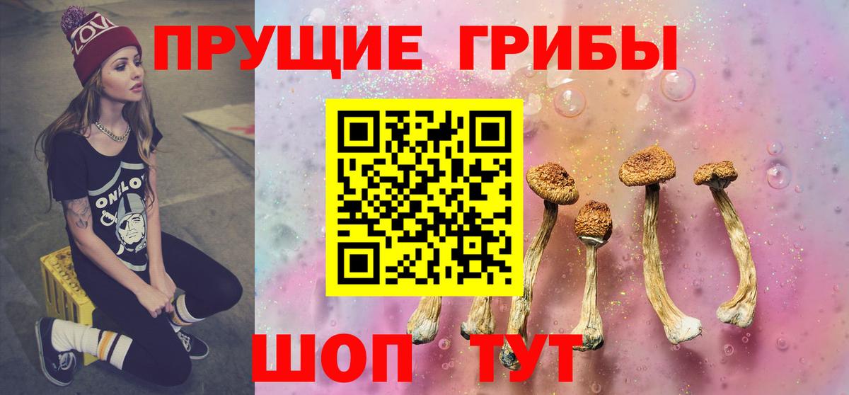 Псилоцибиновые грибы MAGIC MUSHROOMS Коммунар