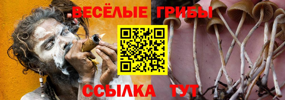Галлюциногенные грибы ЛСД  Вход с VPN  Псилоцибиновые грибы GOLDEN TEACHER  закладки  Коммунар 